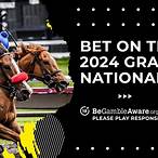 best outside bet for grand national